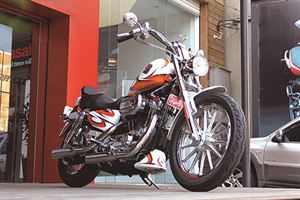 烈焰彩繪美式精神   Harley Davidson 883