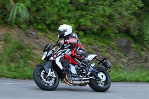 MV AGUSTA Brutale 800   藏不住的熱血