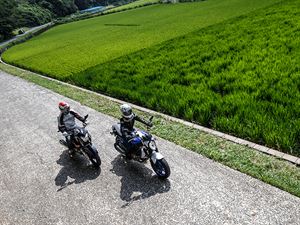 SUZUKI GLADIUS 400 ABS vs GSR 250