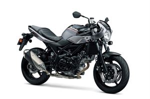 Suzuki  SV650X