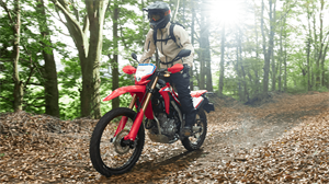 Honda 台灣確定導入2021 CRF300L CRF300 RALLY