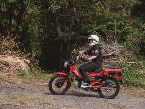 HONDA CT125 Hunter Cub